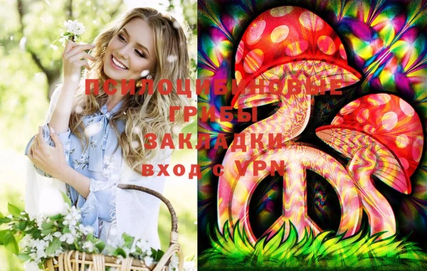 мет Гусев