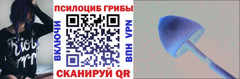 Галлюциногенные грибы ЛСД  blacksprut ТОР  Лермонтов 